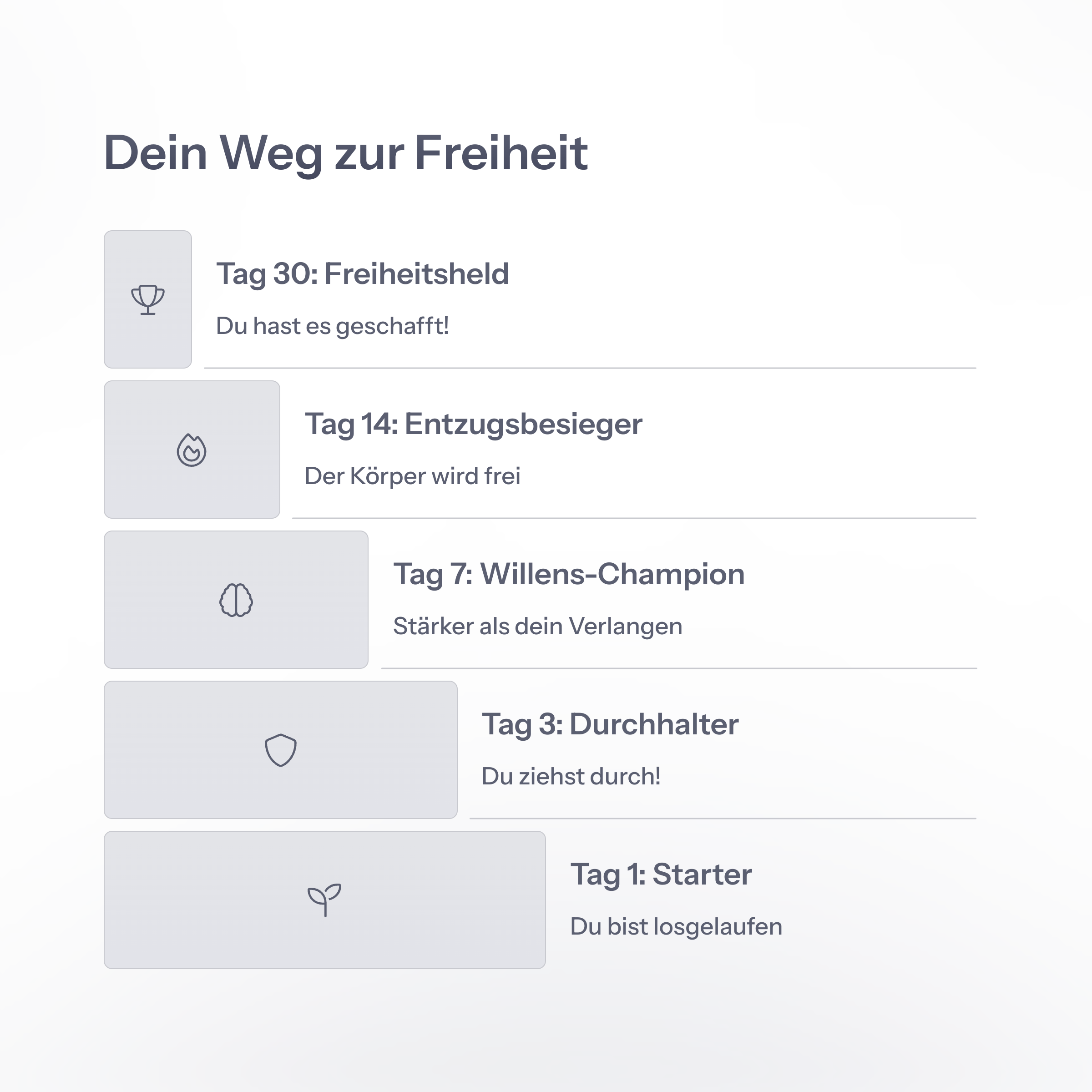 Quit-Coach. Rauchfrei KI. 12 Monate inkl. Buch